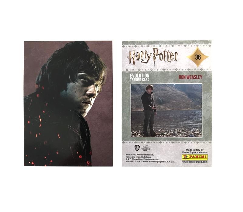 Harry Potter Evolution Einzelkarte - Ron