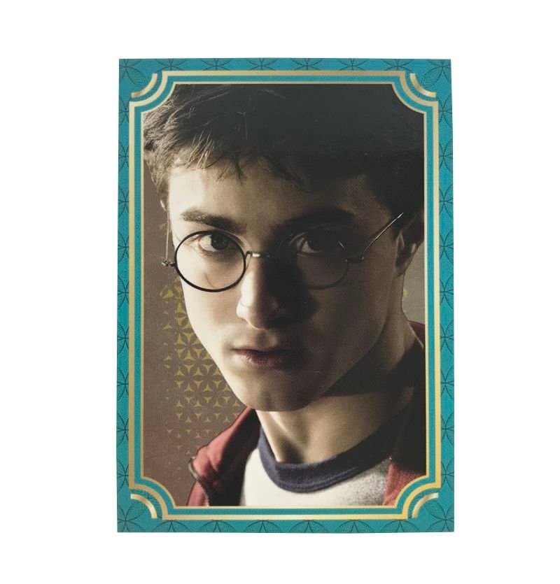 Harry Potter Evolution Einzelkarte - Harry Potter